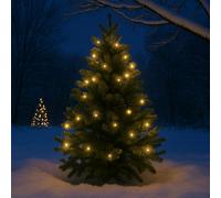 Outdoor String Lights - 7.5m with 25 LED Bulbs Valiant White One Size