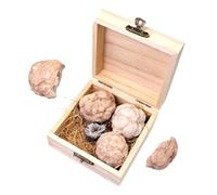 VALICLUD 1 Box Gem Dig Kit for Educational Gemstone Excavation with Rare Crystals and Minerals Rock Collection Box for Geology Learning and Birthday Gifts