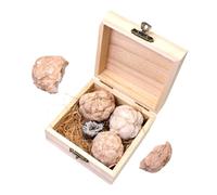 VALICLUD 1 Box Gemstone Mining Kit for Adults Educational Gem Dig Kit Fun Geology Exploration with Four Natural Crystal Rocks Easy to Use Hammer Excavation