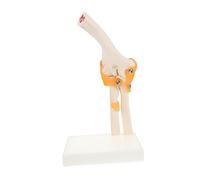 VALICLUD 1 PC Elbow Joint Model Human Skeleton Bone Structure for Anatomy Education and Patient Instruction Teaching Tool for Schools and Hospitals