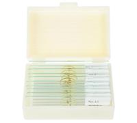 VALICLUD 10pcs Microscope Slides with Insect Specimens for Biological Education Glass Prepared Slides Set for Microbiology Science Students Educational