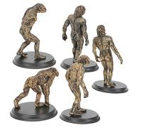 VALICLUD 1Set Human Evolution Model Educational Science Experiment Props Realistic Man Figures for Teaching History Plastic Scene Decorations