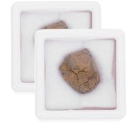 VALICLUD 2pcs Lithosiderite Meteorite Specimens Real Iron Meteorite Samples Educational Teaching Tools for Boys and Girls and Adults Science Classroom Display Random Color