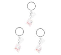 VALICLUD 3pcs Resin Tropical Fish Bag Pendant Key Holder Creative Keychain Simulation Water Bag Design for Beach Charming Accessory for Keyrings