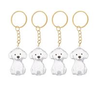 VALICLUD 4pcs Dog Hair Keepsake Keychains Memorial Box Portable Display Ornament Abs Material for Mourning The Passing of A Furry Friend Commemorative Gift for Dog and Puppy Owners