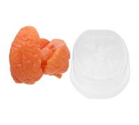 VALICLUD Anatomical Brain Model Human Brain Teaching Tool with Precise Pvc Material and Disassembled 3-part Structure for Science Labs and Psychology Research Interactive Demonstrations