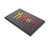 VALICLUD Biology Teaching Model: Biology Teaching Aid Magnetic Change Model For High School Science Projects Interactive Learning Tool Education
