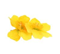 VALICLUD Daffodil Floral Hair Clip Set, Artificial Bloom Barrette for Women, Side Hairpin with Petal Detail, Vintage Style Hair Accessory for Weddings, Beach, and Party