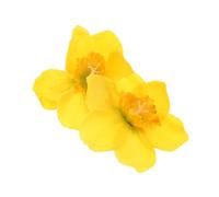 VALICLUD Daffodil Hairpin Set, Yellow Narcissus Floral Hair Clip Side Fringe Holder, Botanical Spring Hair Accessories for Women Girls, Suitable for Holiday and Bridal Headwear