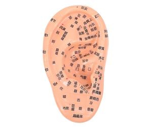 VALICLUD Ear Acupuncture Model Teaching Aid for Training Material Made of Sturdy PVC with Writing and No Fading for Acupuncture and Massage Schools