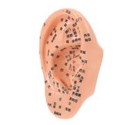 VALICLUD Ear Massage Model for Acupuncture Learning Durable with Pressure Points Teaching Tool for Students Medical Experts Great for Schools Collectibles