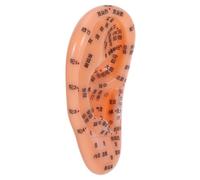 VALICLUD Ear Reflexology Acupressure Model Human Ear Acupuncture Points Training Tool for Massage Learning Traditional Chinese Medicine Education