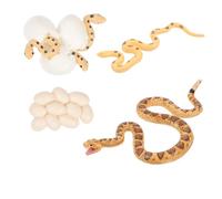 VALICLUD Educational Snake Growth Cycle Model for Realistic PVC Biology for Cognitive Development Teaching Aid and Home Decoration Early Learning Reptile Figurines
