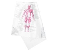 VALICLUD Human Anatomy Poster Premium Skeletal System Chart for Decor for Parties Education and Study