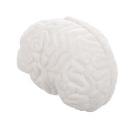 VALICLUD Human Brain Model with Removable Parts Anatomical Brain Teaching Tool for Medical and Science Education Realistic Structure for Classroom and Personal Study White Display