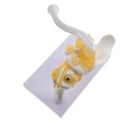VALICLUD Human Shoulder Joint Model with Ligaments PVC Skeleton Bone Model for Teaching Medical Anatomy Study Tool for Schools and Hospitals