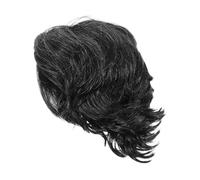 VALICLUD Men's Disco Wig Curly Synthetic Hair for Cosplay Party Halloween Judge Wig Fashion Accessory