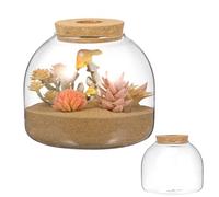 VALICLUD Micro Landscape Ecosystem Terrarium Glass Container with Moss Hydroponic Plants and Wooden Cork Lid Small Glass Jar Suitable for Indoor Gardening and Decorative Display