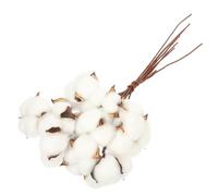 VALICLUD Natural Cotton Flowers Decor Stem Dried Cotton Stems for Christmas Floral Arrangements Home Party Wedding Photo Props