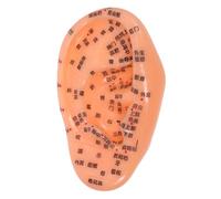 VALICLUD Realistic Auricular Ear Acupoints Model Reflexology Training Tool for Teaching and Massage Comprehensive Acupuncture Guide for Hand Eye Practice in Traditional Chinese Medicine