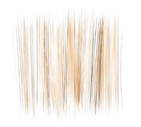 VALICLUD Realistic Cat Doll Whiskers for Crafts Transparent White Tip Simulation Whiskers DIY Plush Doll Accessories Abundant Supply for Creative Projects and Stuffed Animals