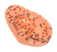 VALICLUD Realistic Ear Acupuncture Model with Detailed Reflexology Points for Chinese Medicine Training and Massage Practice Educational Aid for Ear Acupressure and Clinical Use