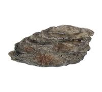 VALICLUD Realistic Trilobite Resin for Science Teaching and Reptile Habitat Decoration, Brown Artificial Insect Remnant with Educational Value and Versatile Application for Display