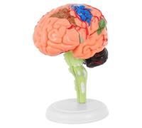VALICLUD Scientific Human Brain Model with Base Easy Assembly Disassembly Medical Teaching Anatomy Tool for Students Teachers Laboratory Home University Training Institutions