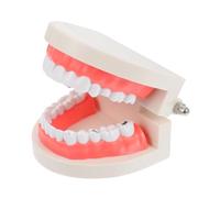 VALICLUD Teeth Model Educational for Brushing Teaching Aid Hand Eye Coordination Development Imaginative Play Safe Oral Care Training Tool for Preschool Classroom