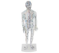 VALICLUD Traditional Chinese Acupuncture Model Male Human Body Pressure Point Display with Precise Meridian Mapping for Acupoint Learning and Training