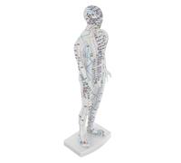 VALICLUD Traditional Chinese Medicine Meridian Model Acupoint Mannequin Acupuncture Point Location Instructions Chinese Teaching Tool Pressure Point and Meridians Model White