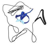 VALICLUD Wear-Resistant Parrot Harness with Elastic Leash, Comfortable Small Blue Sunbird Strap for Outdoor Training and Daily Use, Suitable for Cockatiels and Budgerigars