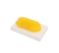VALICLUD Yellow for Human Body Study Course and Fitness Centre Plastic Anatomical Fat Model 1 Pound Demonstration Device and Fitness Motivation for Weight Loss Exercise Equipment
