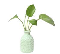 VALINK Small Ceramic Vases for Flowers Decorative Vase Mini Ceramic Flower Vase Cute Desktop Ceramic Vase Floral Art Arrangement Decoration for Home Bedroom Green