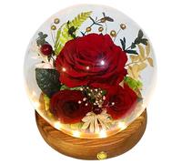 Valley of Rain & Forest Long-Lasting Real Flowers, Unique Floral Gift for You to Send Love for All Occasions, for Indoor Decoration (Dark Red Rose Arrangement)