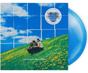 VALLEY - WATER THE FLOWERS PRAY FOR A GARDEN WATER COLOR VINYL - Viny - M3z