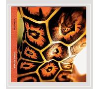 valorie miller - Turtle Shell [Explicit]