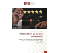 Valorisation du capital immatériel: Cas d'une société de microfinance évoluant dans un environnement à fort risque sécuritaire.