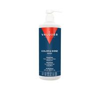 Válquer Ice Hair Mask Colour and Shine - 1000 ml | Hydrates, Protects & Enhances Colour with Wheat Germ & Blueberry Extract | Vegan