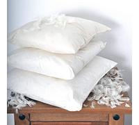 Value Comfort Home Luxury Plump Pack of FOUR (4) 100% DUCK Feather Washable Cushions Inserts Fillers Pads (Cotton Rich Down Proof Cover) 24" x 24"