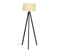 Barbro Black Floor Lamp