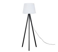 Barbro Black Floor Lamp