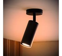 Valuelights Taylor Matte Black Tube Single Adjustable Ceiling Spotlight And Bulb