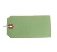 ValueX Reinforced Coloured Strung Tag 120x60mm Green (Pack 1000) T257803