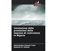 Valutazione delle prestazioni delle imprese di costruzione in Nigeria