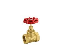 Valve Brass Globe Central Air Conditioning Core Water Thread Sealing 1Pcs(DN50)