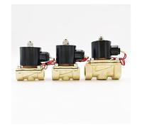 Valve Electric Solenoid Valve Normally Closed AC220V Water Proof G3/8" G1/2" G3/4" G1 G1-1/4 G1-1/2 G2 DC12V 24V(Ac110v,1.5 Inch)