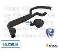 Valve, engine block breather for BMW E34 VAICO V20-1920 fits Cylinder Head