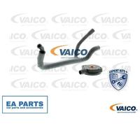 Valve, engine block breather for BMW E36 VAICO V20-1920 fits Cylinder Head