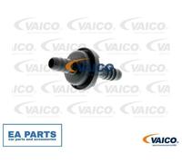 Valve, engine block breather for MERCEDES-BENZ CL203 S203 S204 VAICO V30-1615
